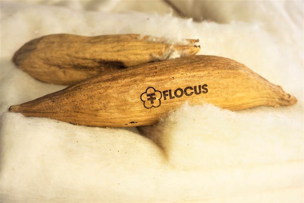 Flocus to Unveil Regenerative Kapok Innovations at Future Fabrics Expo 2025 1 Regenerative Kapok